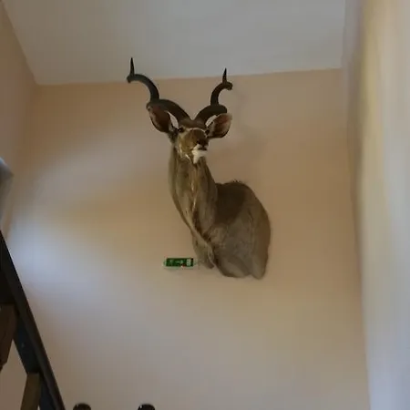 Хижа Hunting *